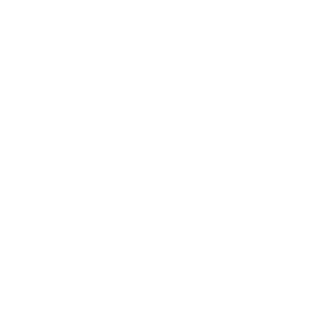 SlG logo white